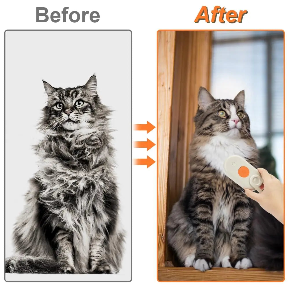 Foldable Pet Steam Brush & Hair Remover