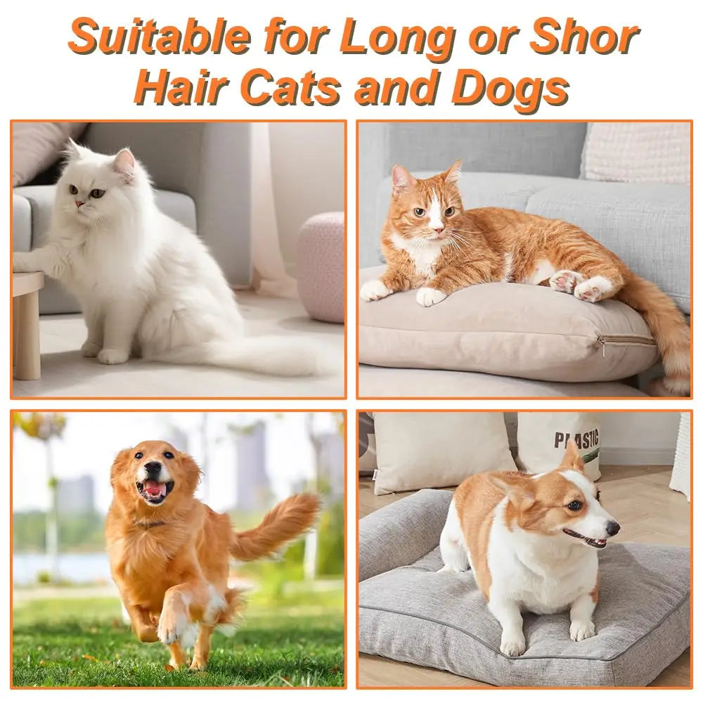 Foldable Pet Steam Brush & Hair Remover