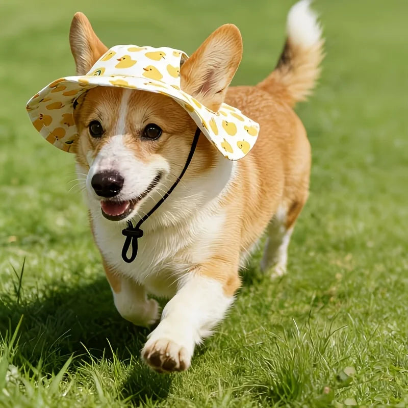 Summer Sun Visor for Small Dogs & Cats, Adjustable.
