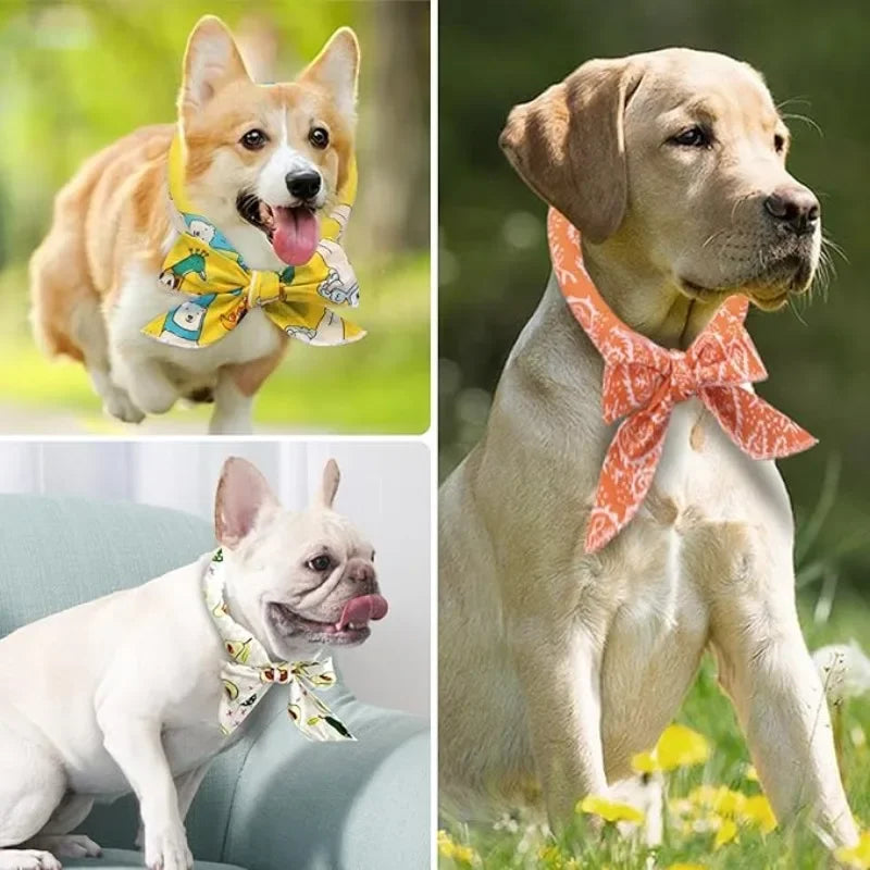 Pet Cooling Scarf for Dogs & Cats – Breathable Summer Ice Collar