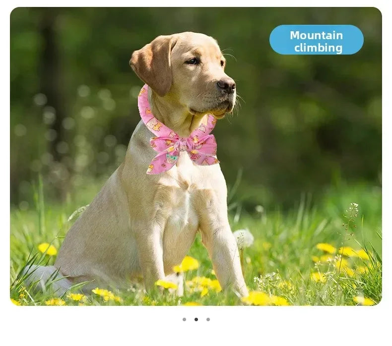 Pet Cooling Scarf for Dogs & Cats – Breathable Summer Ice Collar