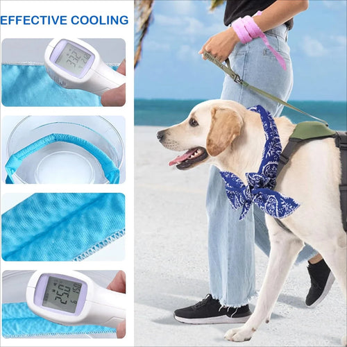 Pet Cooling Scarf for Dogs & Cats – Breathable Summer Ice Collar