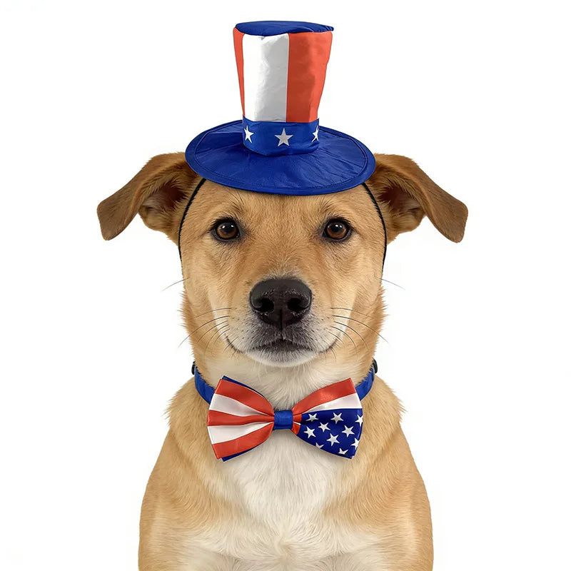 Adorable Pet Party Accessory Set - Collar & Headband